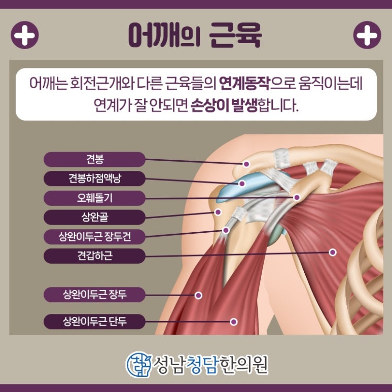 태평한의원 이미지