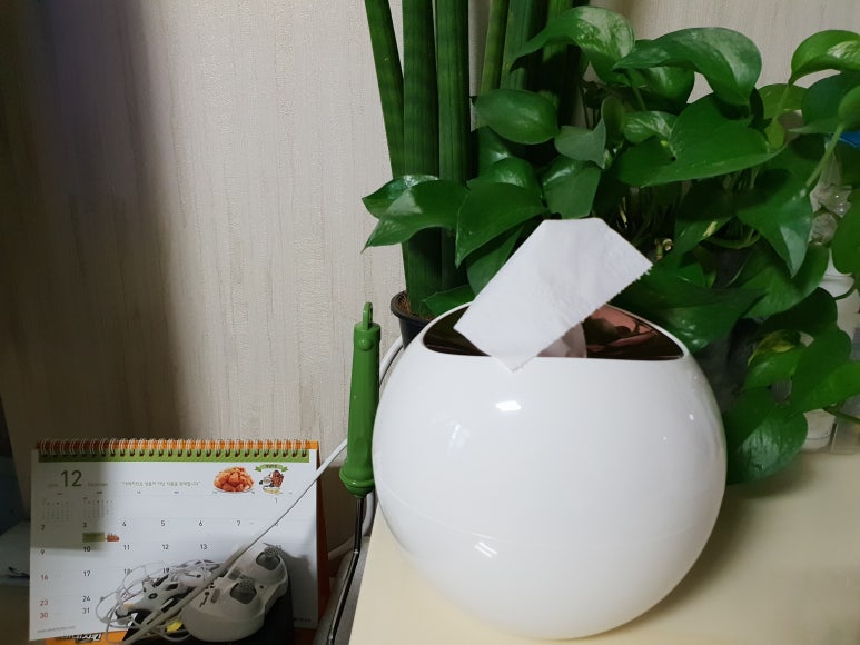 수케이스 이미지