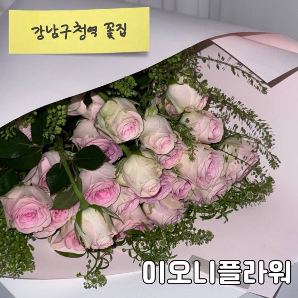 이오니플라워 이미지