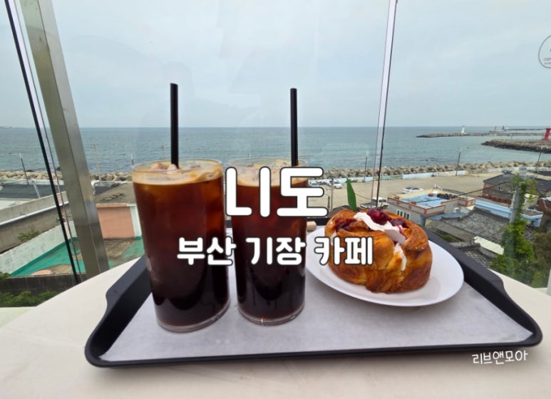 카페니도 이미지