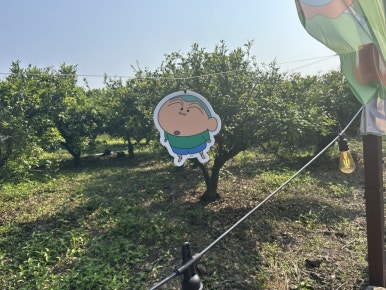 르벙쓸레브 이미지