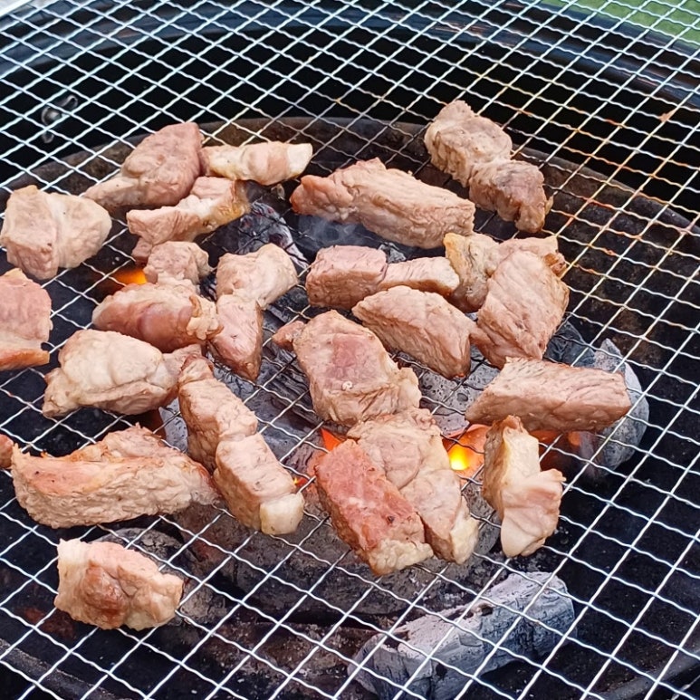 폴콘 이미지