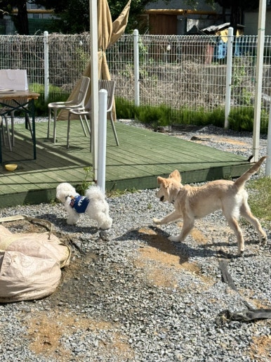 (주)헤이김 이미지