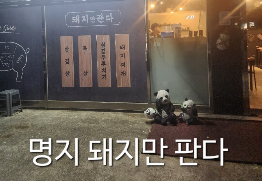 돼지만판다 이미지