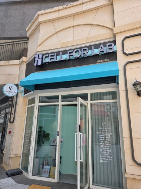 셀포랩스타 이미지