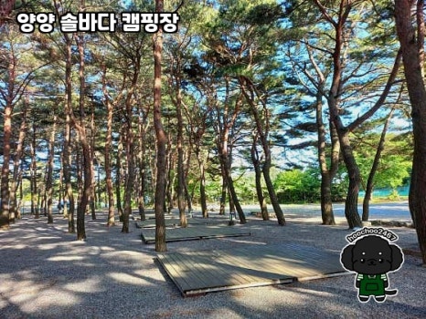 양양 솔바다 캠핑장 이미지