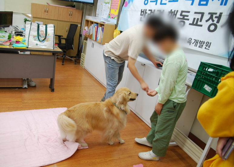 한국창의진로교육개발원 이미지