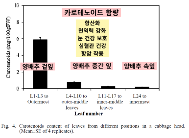 의사의식탁 이미지