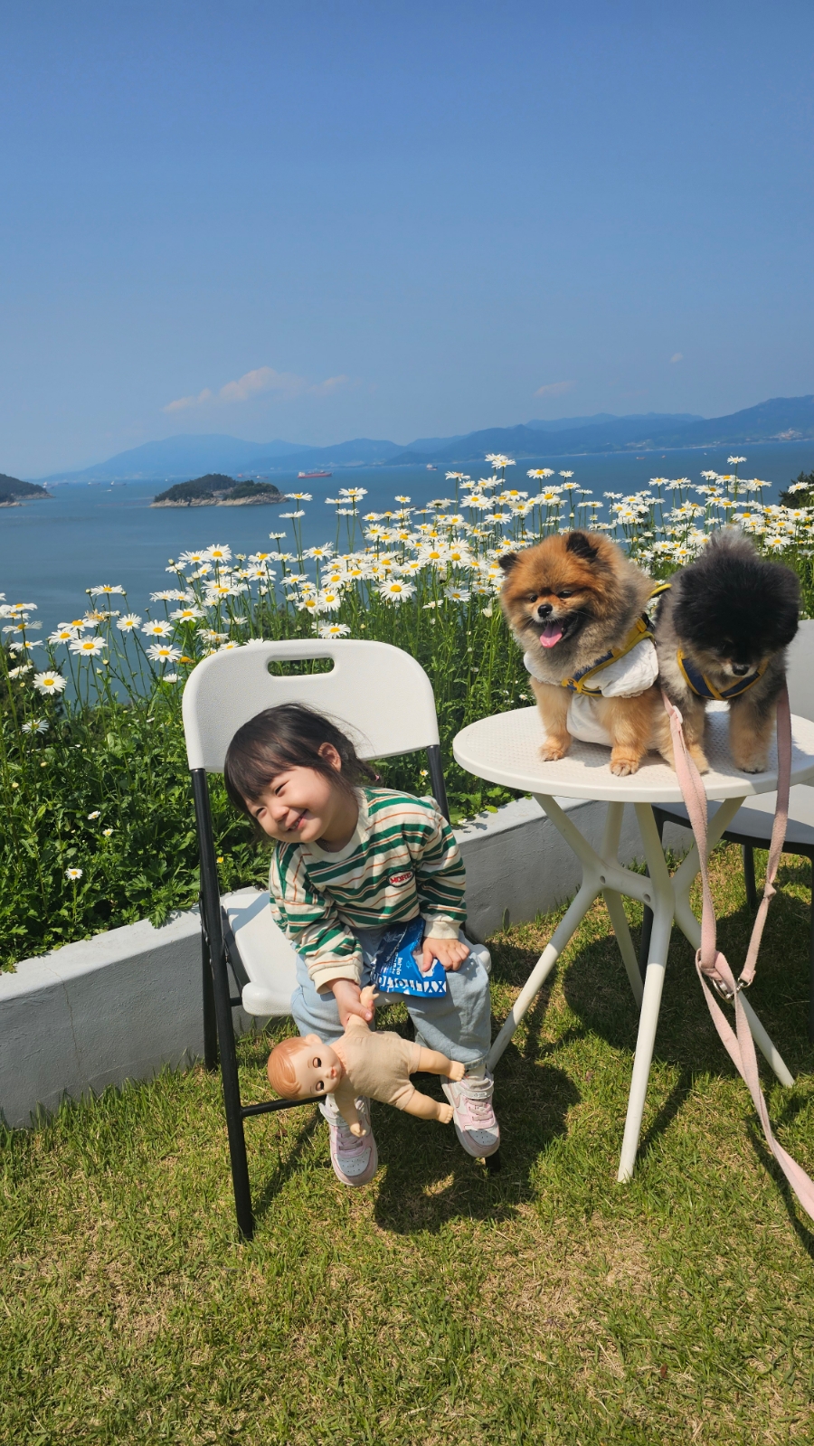 여수 2박 3일 강아지 동반 가족 여행 코스 추천 — 사진 3