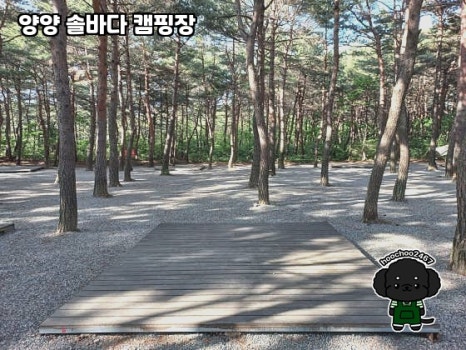 양양 솔바다 캠핑장 이미지