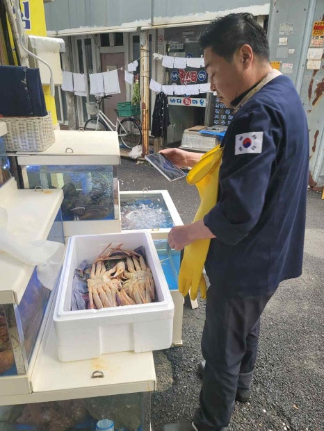 오태호킹크랩 이미지