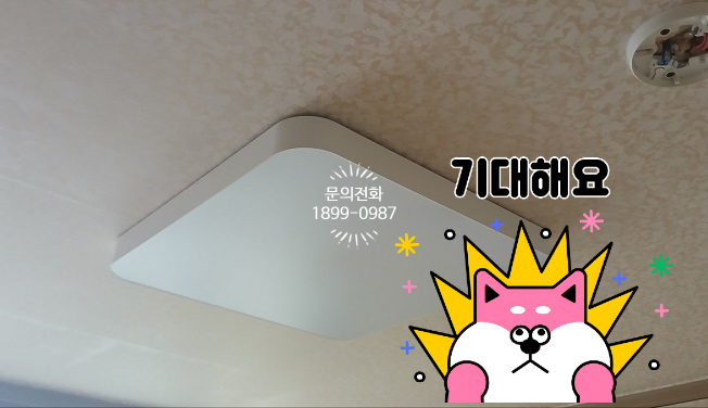 대원전업사 이미지