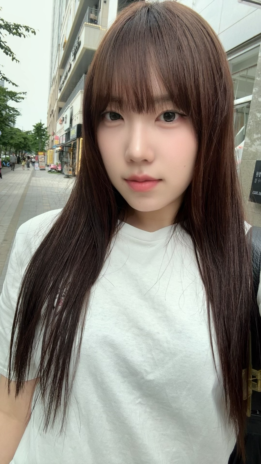 공작미용실 이미지