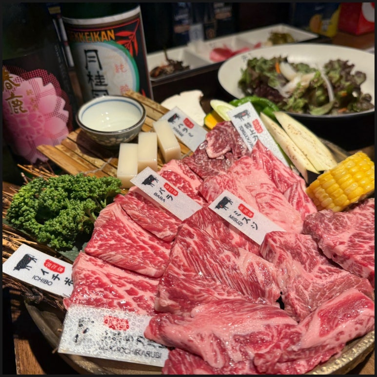 모토이시 이미지