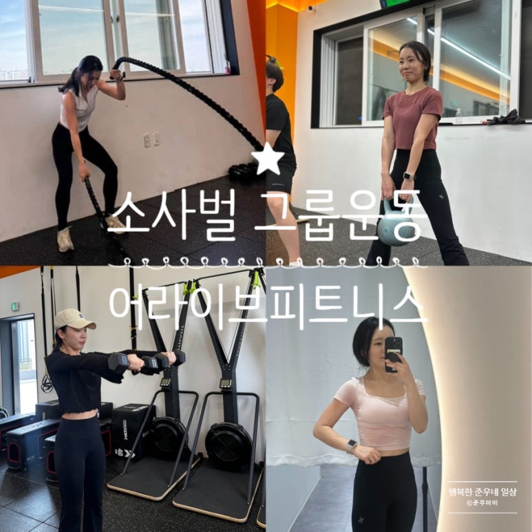 어라이브피트니스 이미지