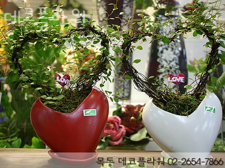 데코플라워 이미지