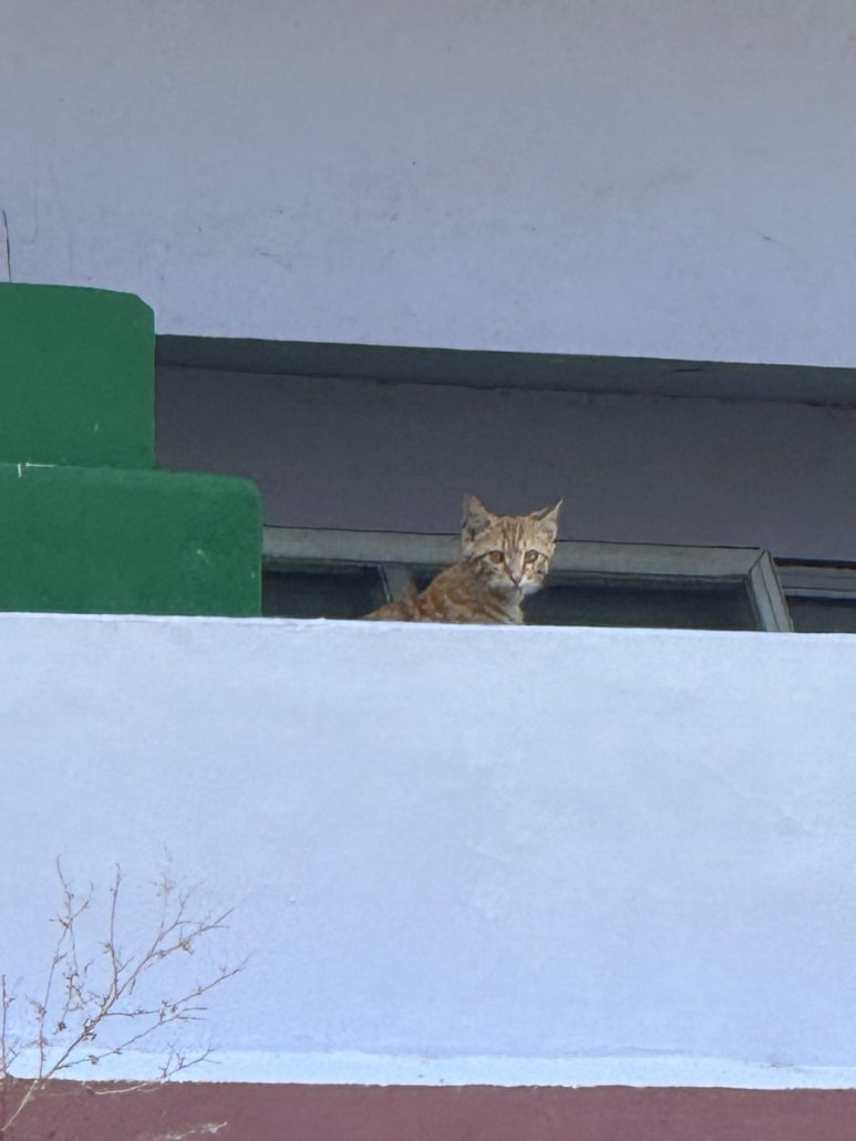 주영선국수 이미지