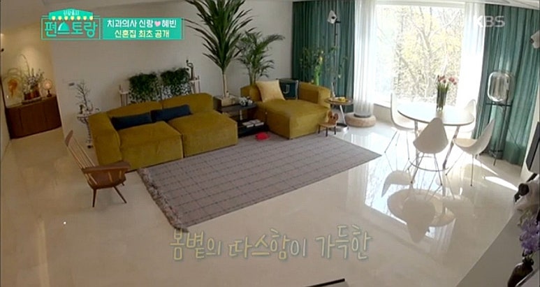 악어새플래닛 이미지