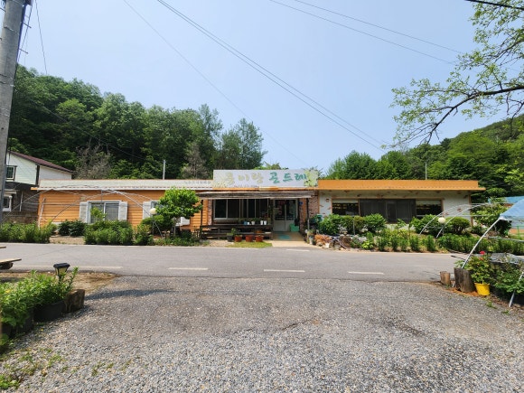 콩이랑곤드레 이미지