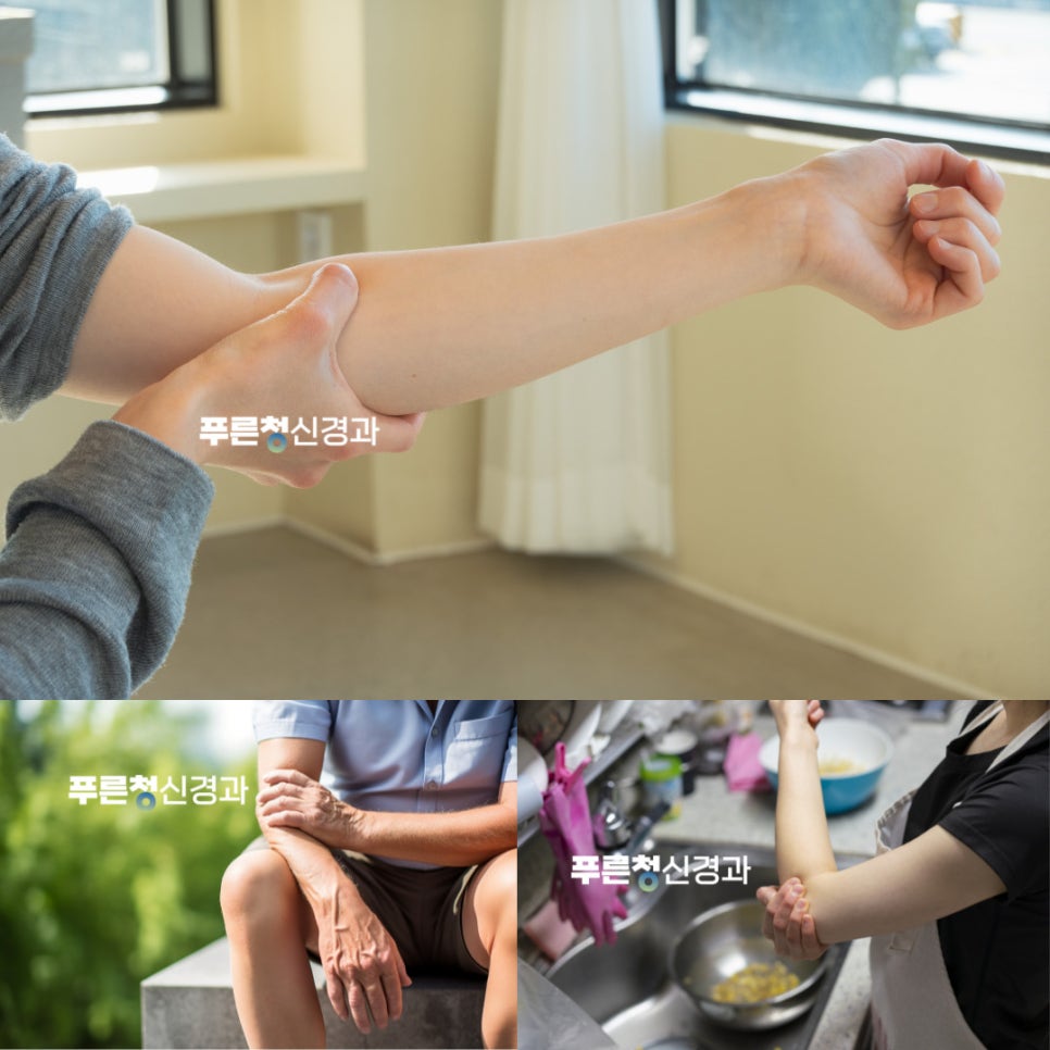수성신경과 이미지