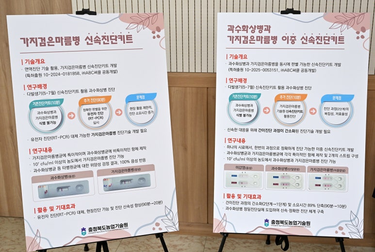 에이비씨써클 이미지