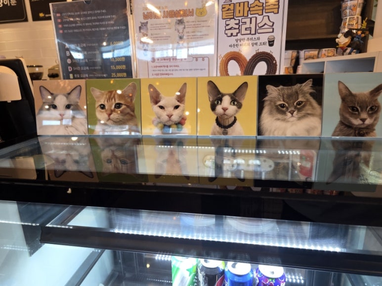 냥이툰 이미지