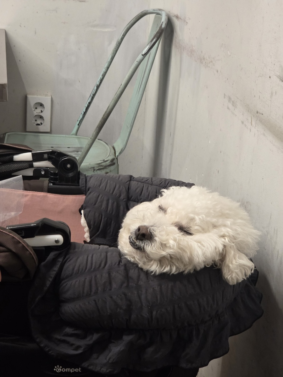 하림멕시칸 이미지