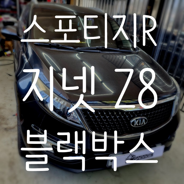 광쓰게러지 이미지