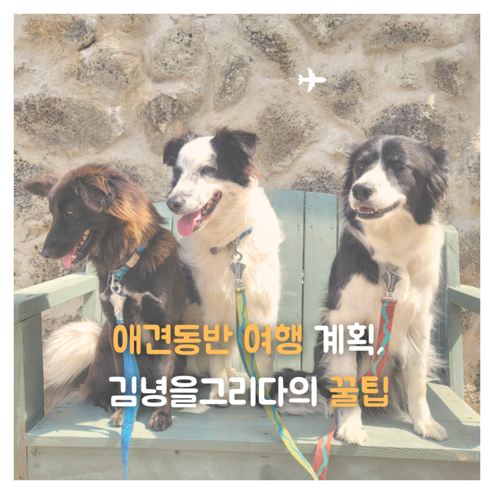 김녕을그리다 이미지