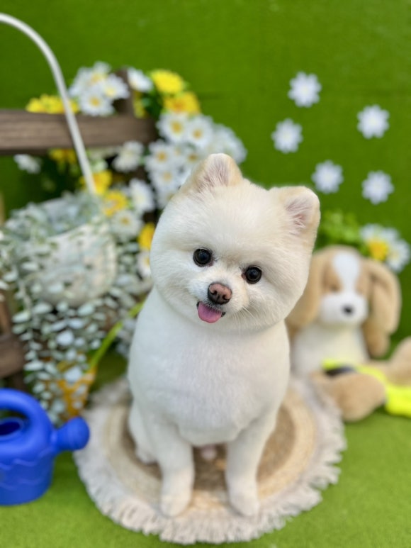 서울미용타운 이미지