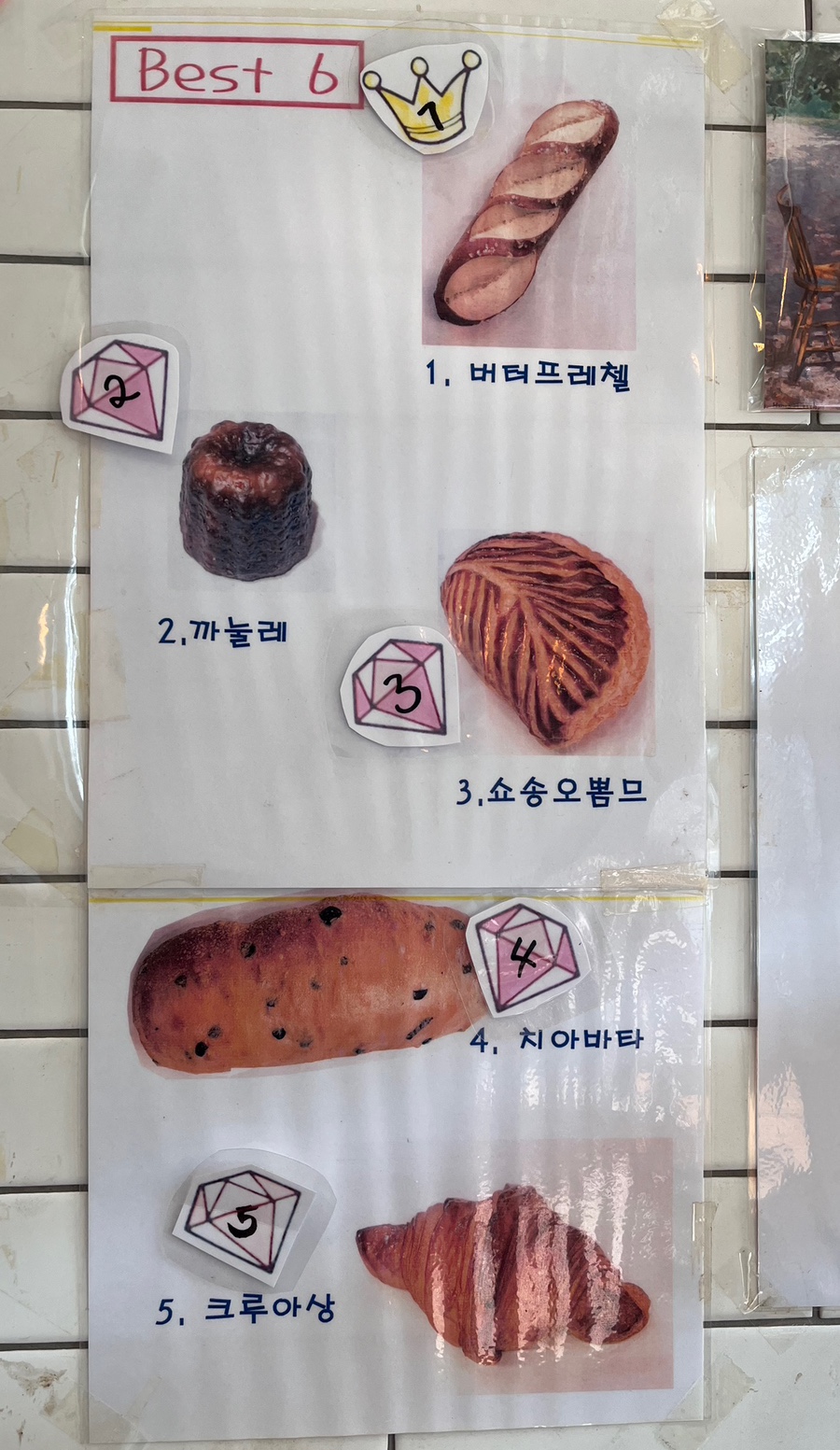 스코니 이미지