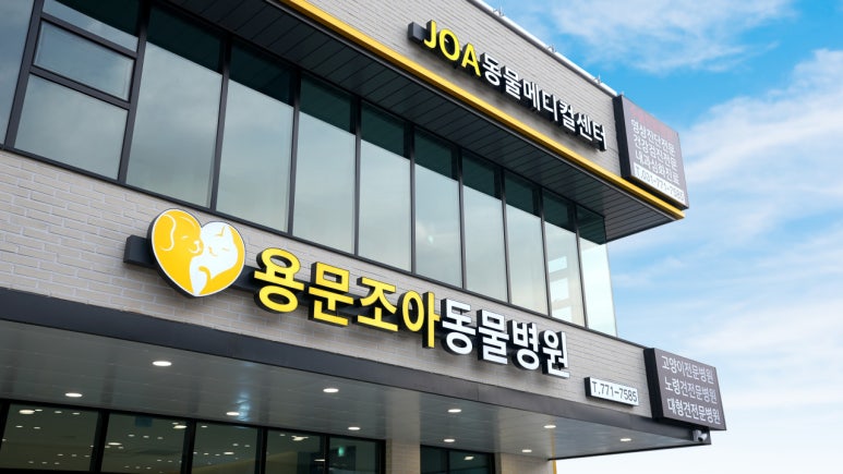 조아간판 이미지