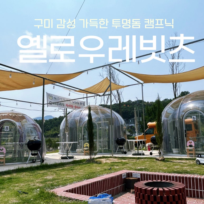 옐로우레빗츠 이미지
