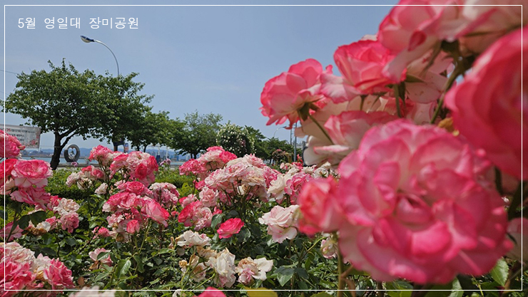 장어삼겹살 이미지