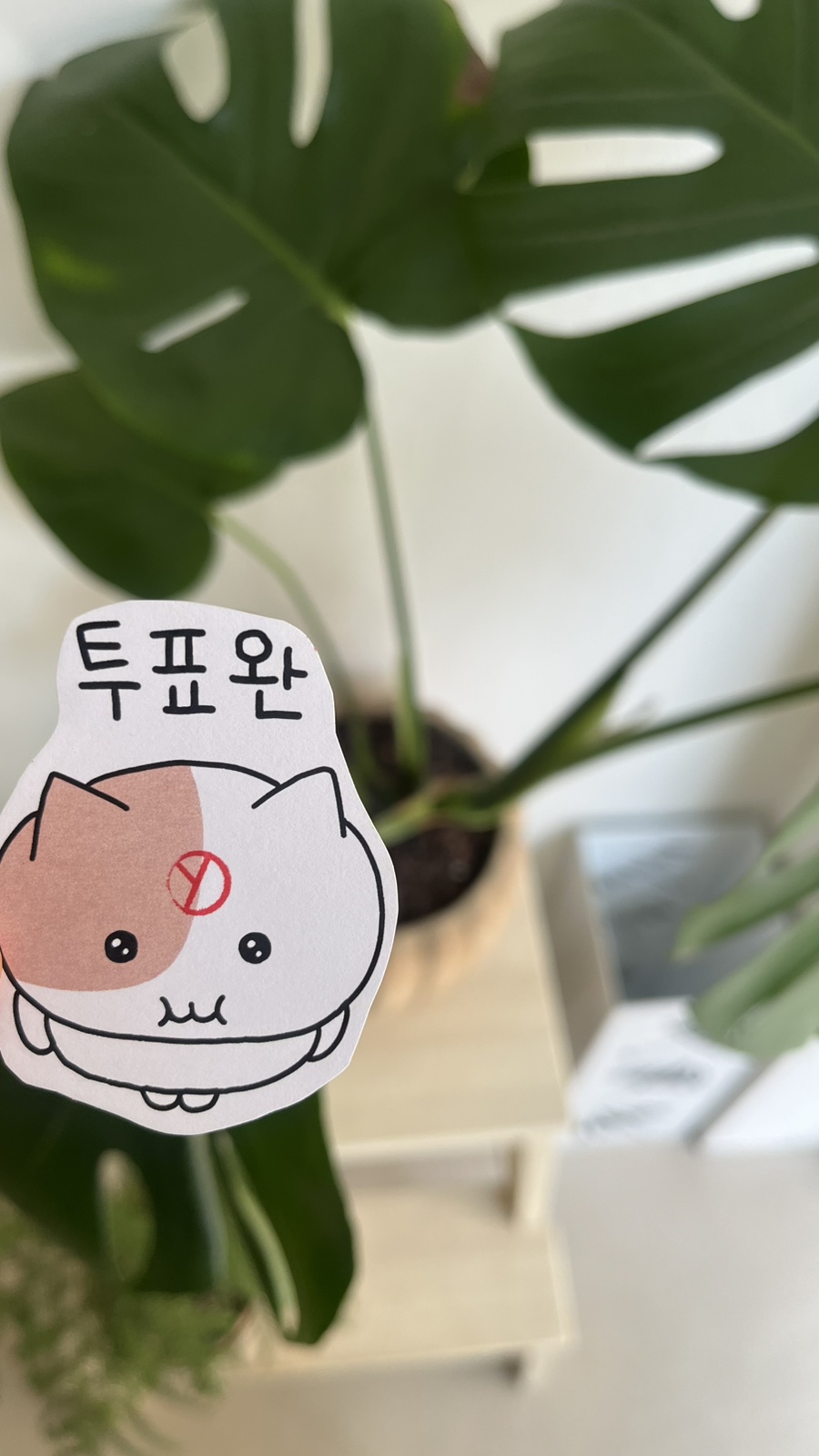 쥴스커피하우스 이미지
