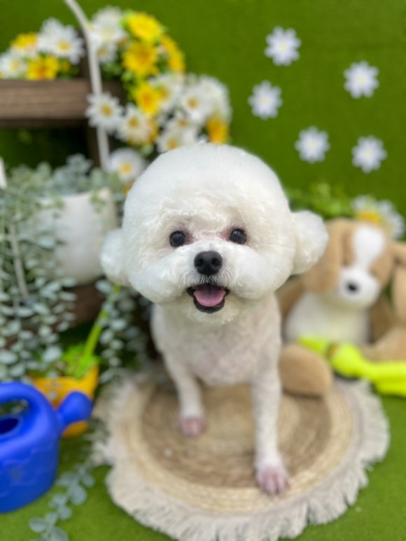 서울미용타운 이미지