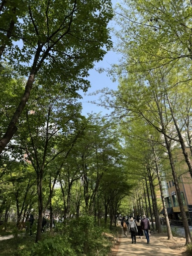 숲길 이미지
