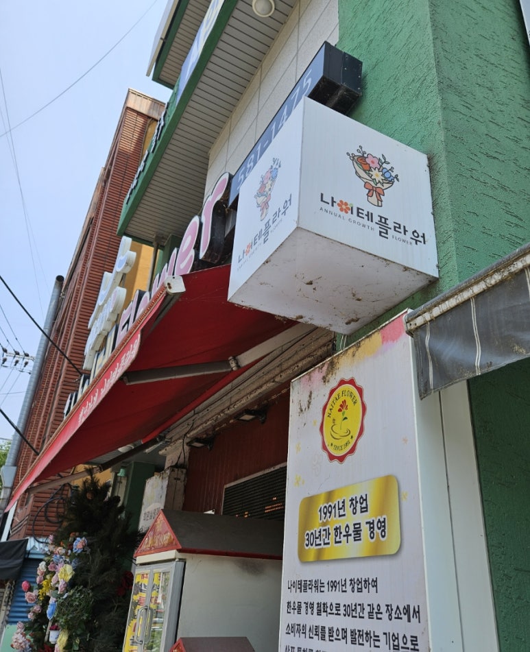 나이테플라워 이미지