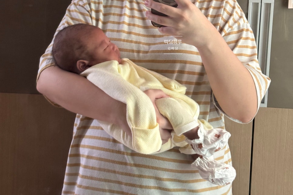 따담 이미지