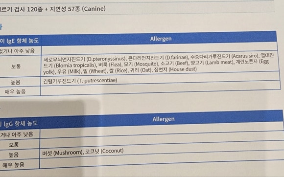 안성푸드덕 이미지