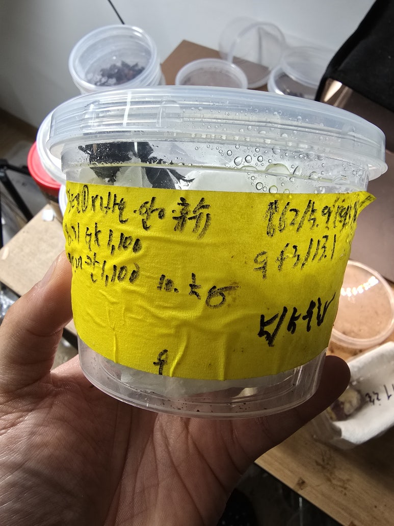 포텐슈 이미지