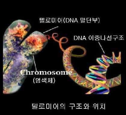유마인 이미지