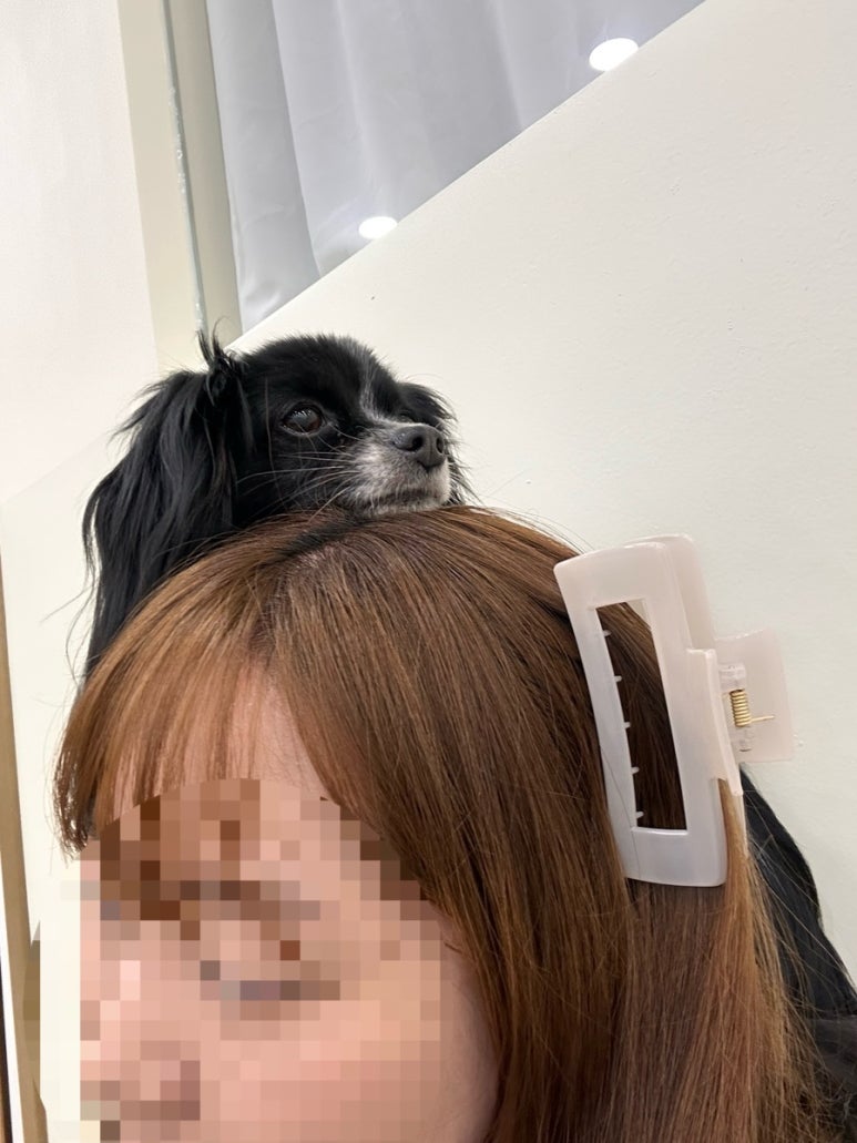 구공분식 이미지