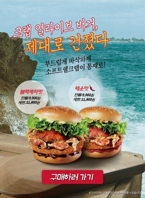 버거브이 이미지