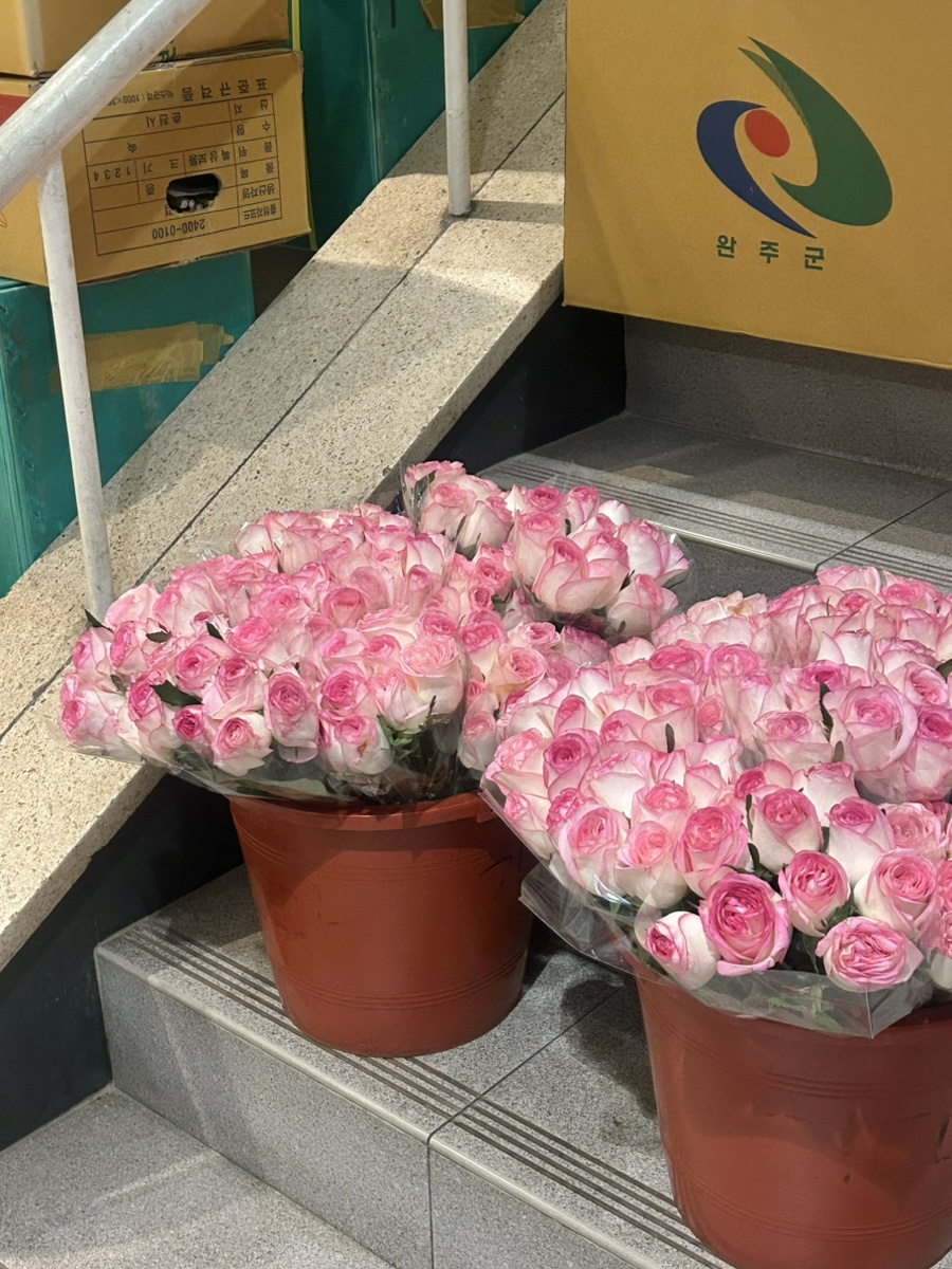 플레르드메 이미지