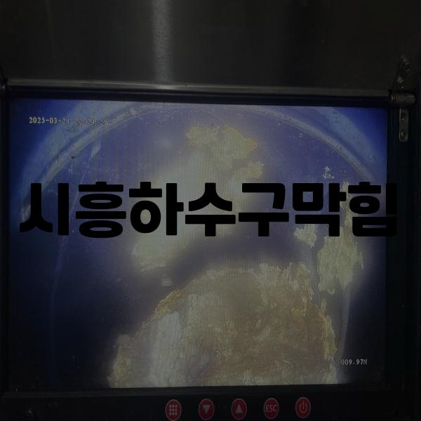시흥하수구역류변기업체싱크대막힘고압세척 이미지