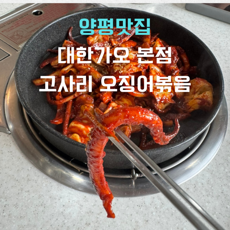 대한가오 이미지