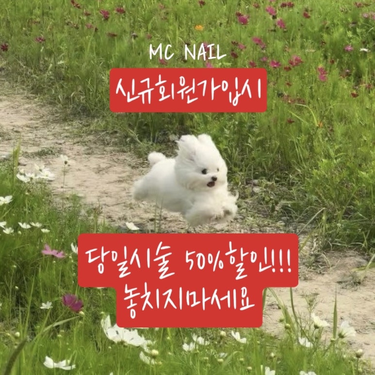 네일은네일 이미지
