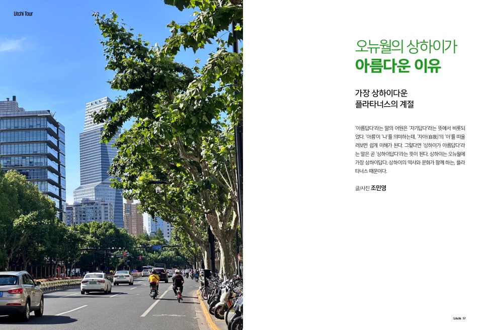 더리치 이미지