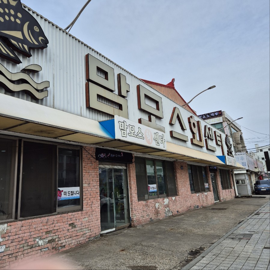맘모스９호집 이미지